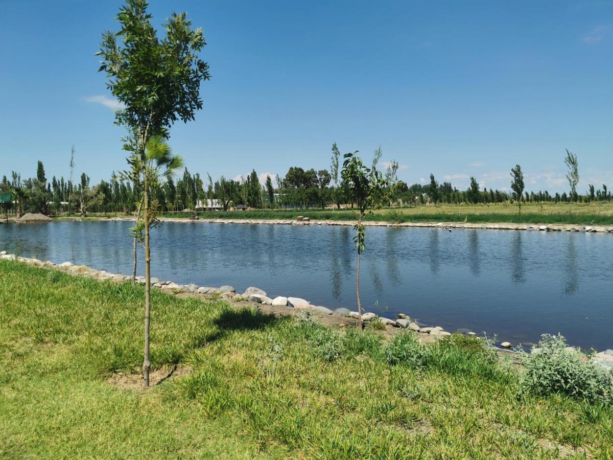 Complejo Koi General Alvear (Mendoza)